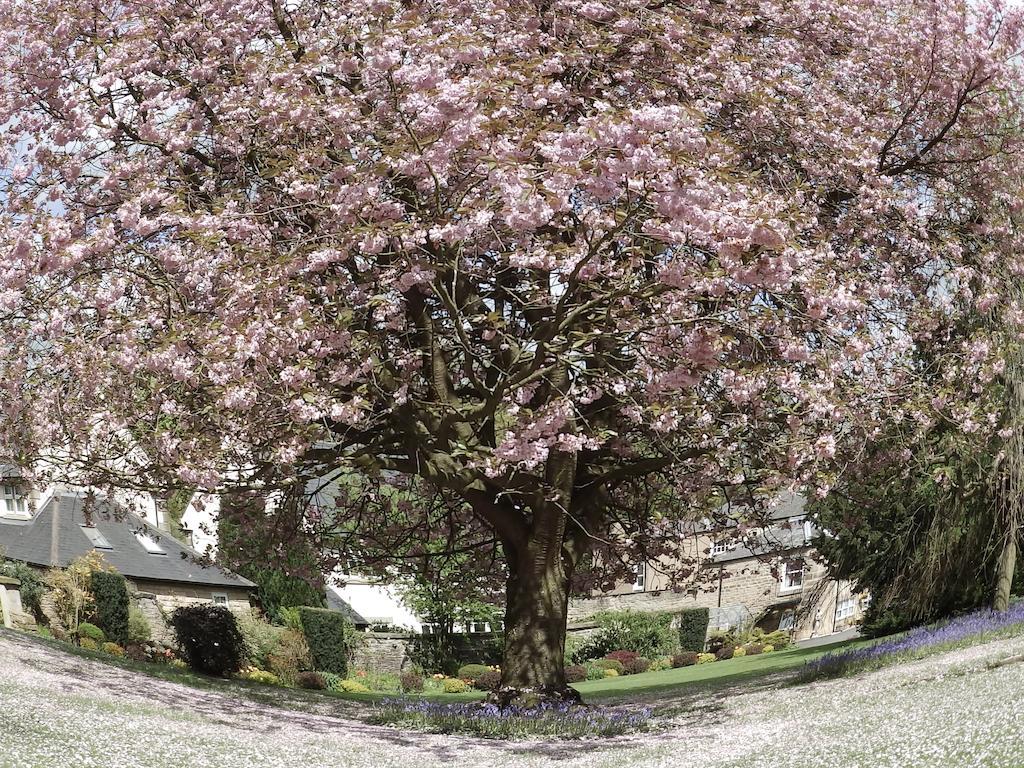 Hotel Hedgefield House à Ryton  Extérieur photo